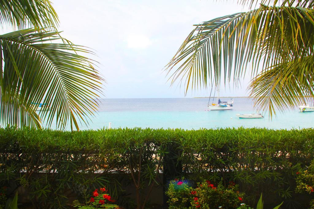 Bonaire Seaside Apartments Екстериор снимка